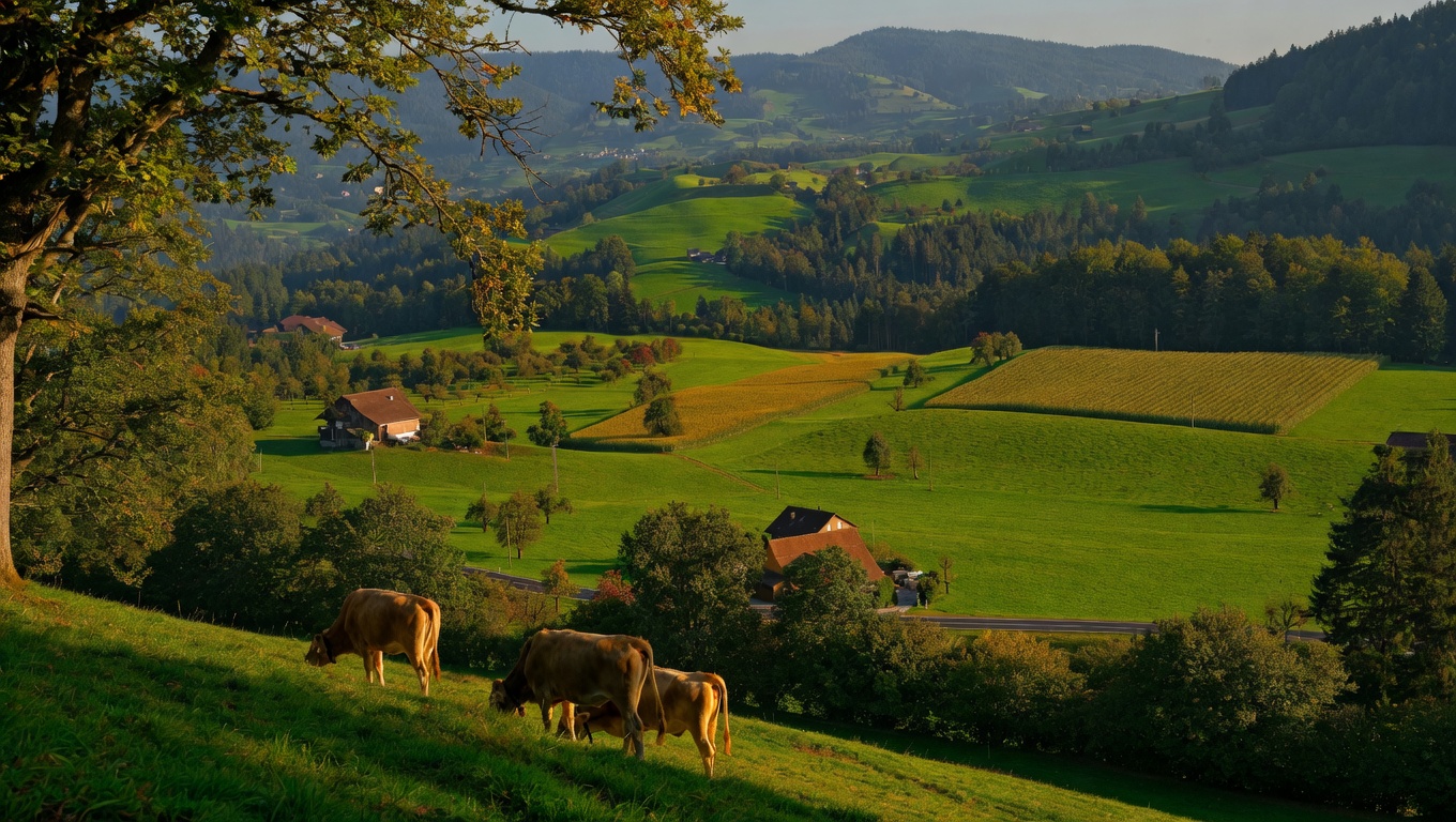 Farm Insurance